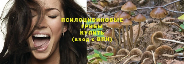 ешки Алексеевка